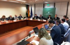Imagen de la sesión del Consejo Rector reunido el 16 de diciembre de 2016 en Sevilla